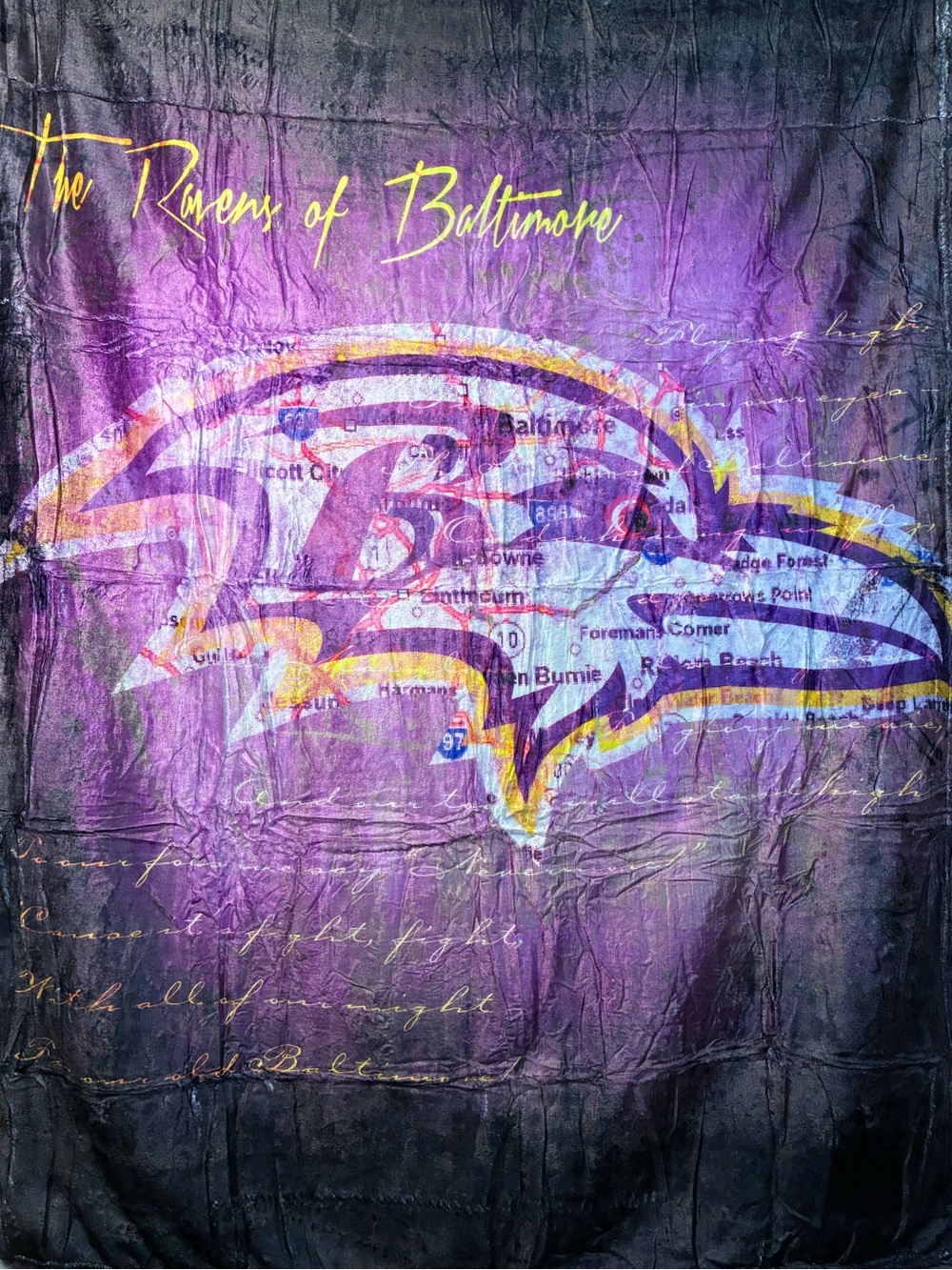 Baltimore Ravens Inspired Purple & Black Thro